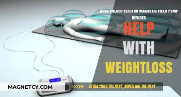 Exploring the Effectiveness of PEMF Devices in Weight Loss Journeys