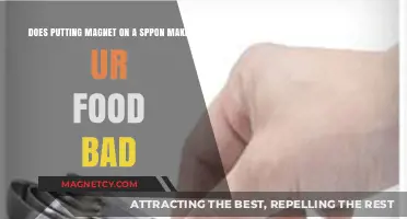 Magnetic Myths: Does a Spoon's Magnetism Affect Your Food?