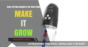 Magnetic Penis Enlargement: Separating Fact from Fiction