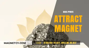 Pyrite's Magnetic Properties: Unveiling the Truth Behind Its Attraction