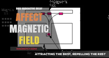 Unveiling the Impact of Radioactive Decay on Magnetic Fields