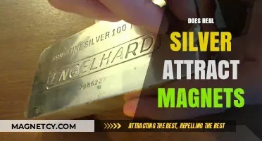 Does Real Silver Attract Magnets? Unveiling the Magnetic Truth
