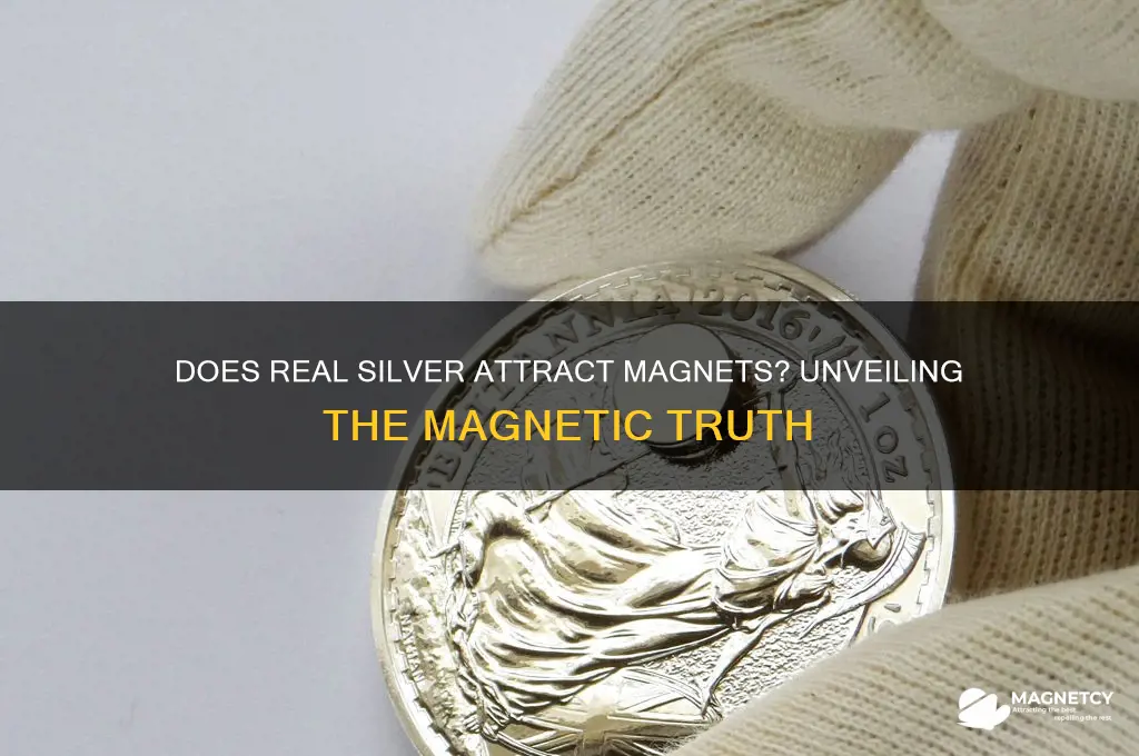 does real silver attract magnets