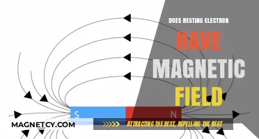 Exploring the Magnetic Mysteries of Resting Electrons