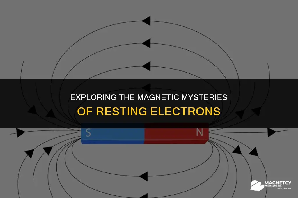 does resting electron have magnetic field