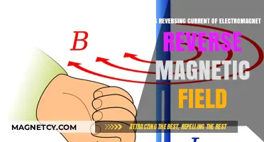 Exploring Electromagnetism: Does Reversing Current Reverse the Magnetic Field?