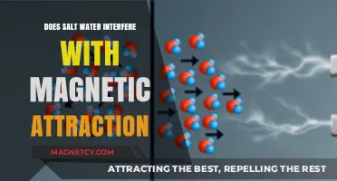Salt Water's Impact on Magnetic Attraction: Unraveling the Science