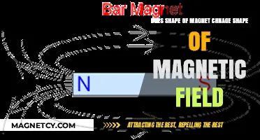 Exploring Magnetism: How Magnet Shapes Influence Magnetic Fields