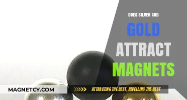 Do Magnets Attract Silver and Gold? Unveiling the Truth