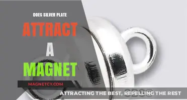 Does Silver Plate Attract Magnets? Unveiling the Magnetic Truth