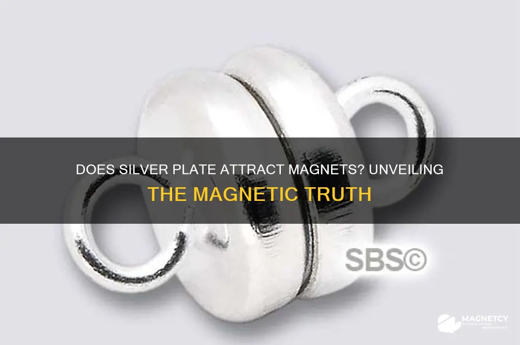 does silver plate attract a magnet