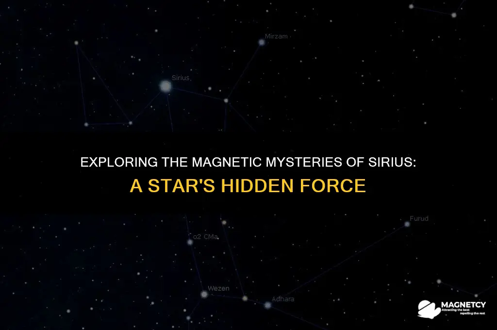 does sirius have a magnetic field