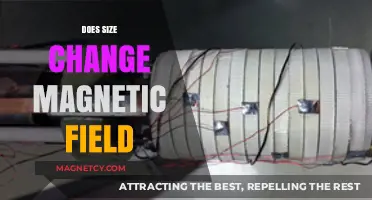 Exploring the Relationship Between Object Size and Magnetic Fields