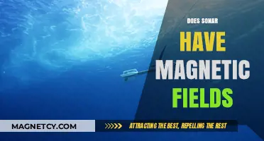 Exploring the Intersection of Sonar Technology and Magnetic Fields
