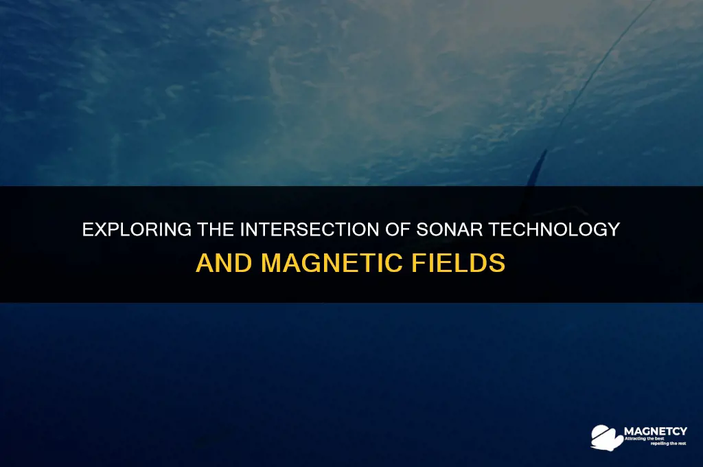 does sonar have magnetic fields