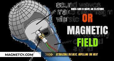 Exploring the Dual Nature of Sound: Electric and Magnetic Fields Unveiled