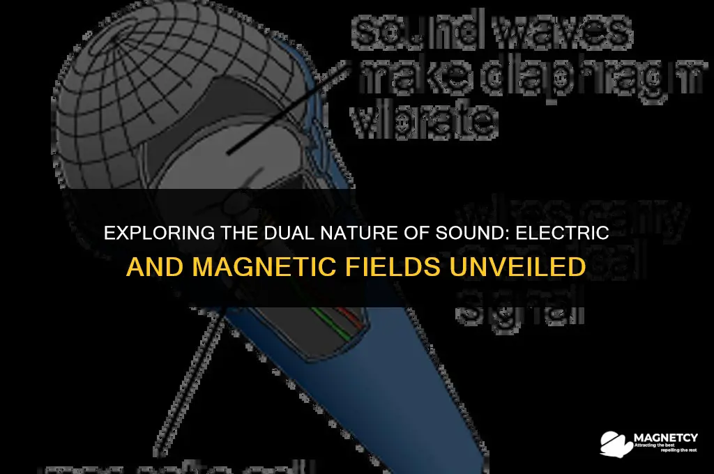 does sou d have an electric or magnetic field