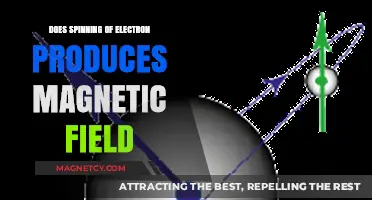 Unveiling the Mysteries: Electron Spin and Magnetic Fields