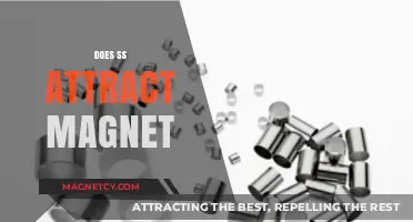 Does Stainless Steel Attract Magnets? Unraveling the Magnetic Mystery