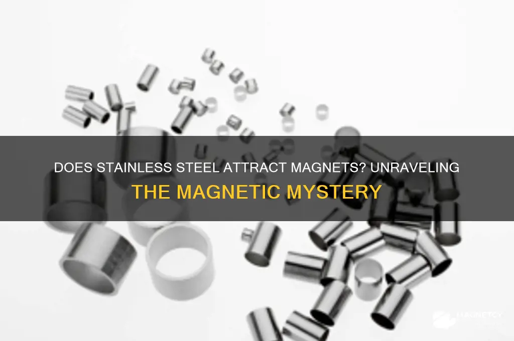does ss attract magnet