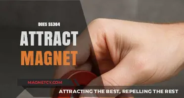 Is SS304 Magnetic? Understanding Stainless Steel's Magnetic Properties