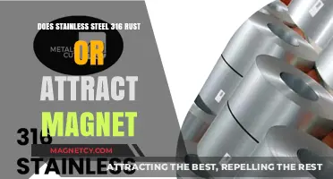 Stainless Steel 316: Rust Resistance and Magnetic Properties Explained