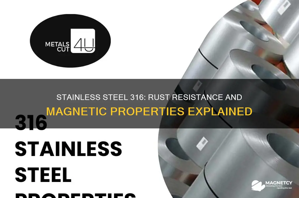 does stainless steel 316 rust or attract magnet