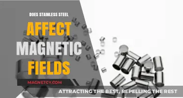 Exploring the Interaction Between Stainless Steel and Magnetic Fields