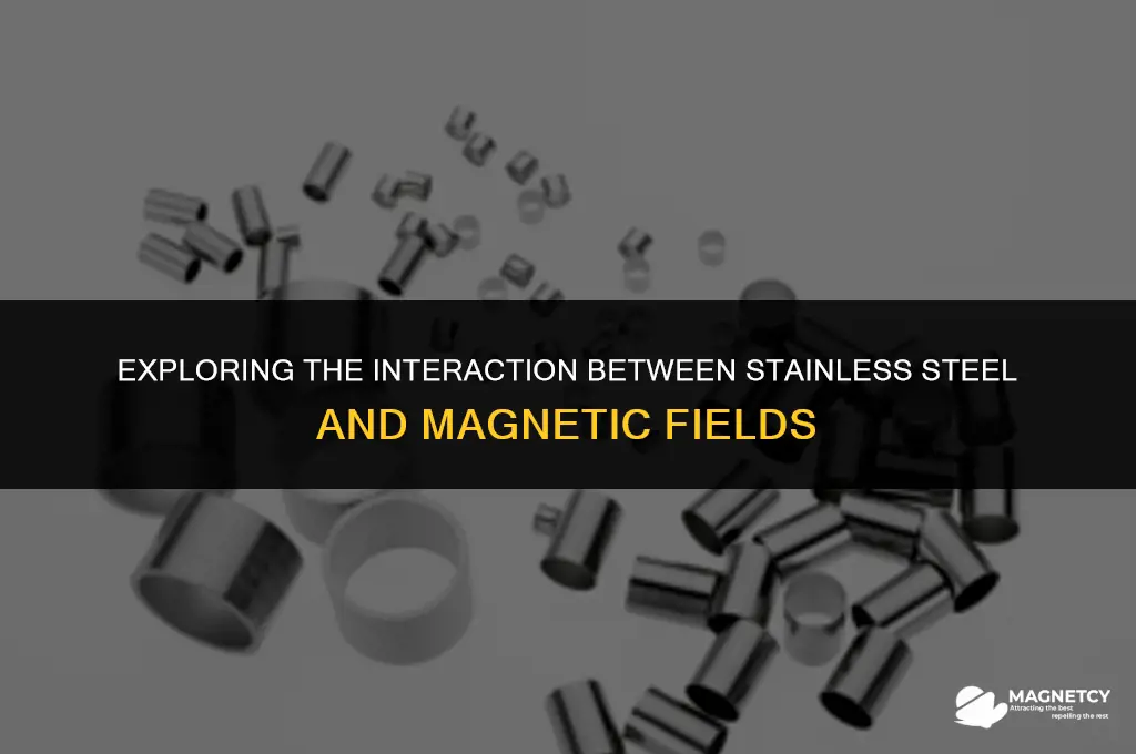 does stainless steel affect magnetic fields
