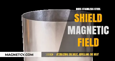 Exploring the Magnetic Shielding Properties of Stainless Steel
