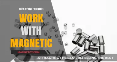 Exploring the Magnetic Properties of Stainless Steel: Facts and Myths