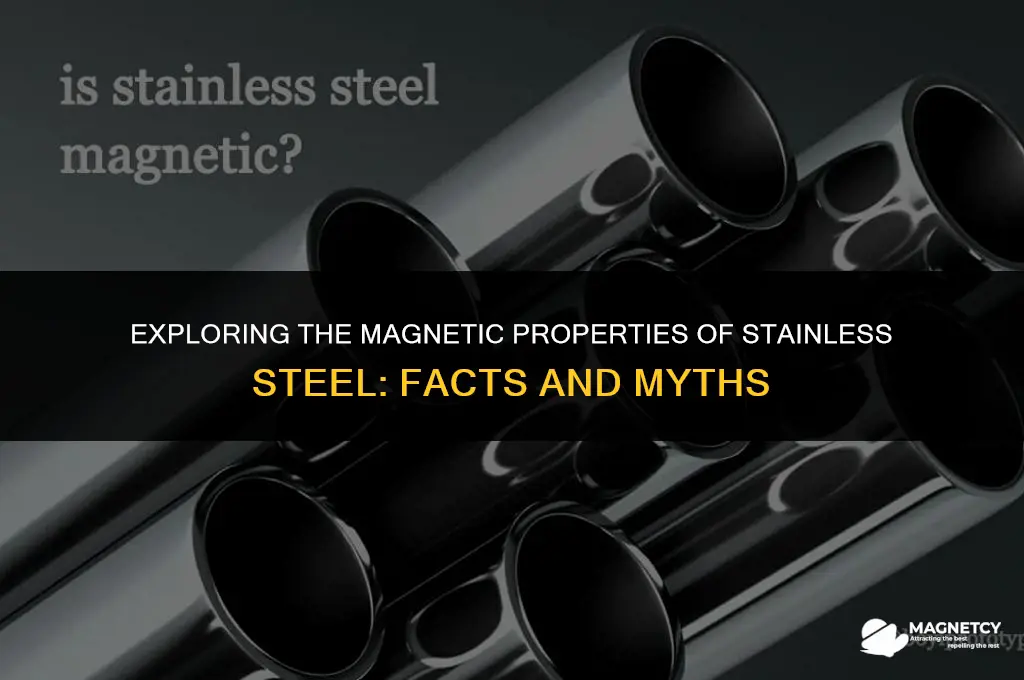 does stainless steel work with magnetic