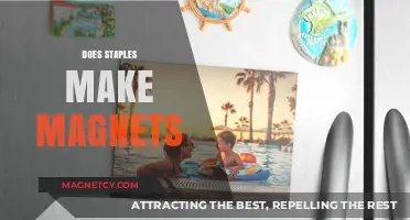 Exploring the Connection: Staples and Magnet Production Explained