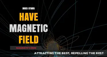 Unveiling the Cosmic Mystery: Do Stars Harbor Magnetic Fields?