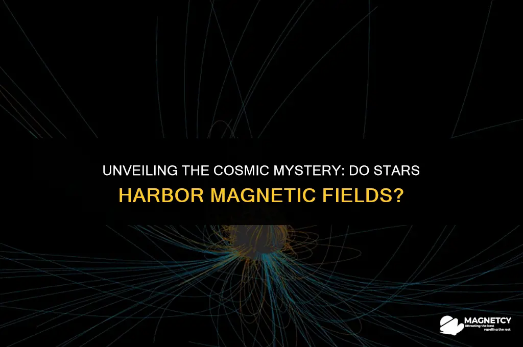 does stars have magnetic field