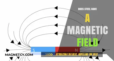 Exploring the Magnetic Properties of Steel: Facts and Myths