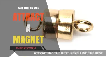Does Sterling Gold Attract Magnets? Unveiling the Truth Behind the Myth
