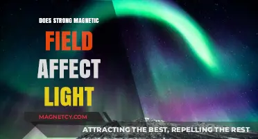 Exploring the Impact of Strong Magnetic Fields on Light