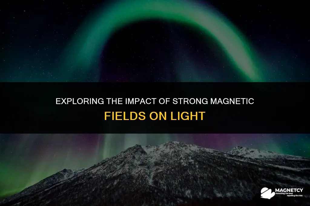 does strong magnetic field affect light