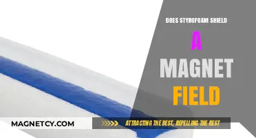 Exploring the Protective Capabilities of Styrofoam Against Magnetic Fields