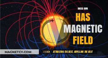 Unveiling the Sun's Hidden Force: A Journey Through Solar Magnetism