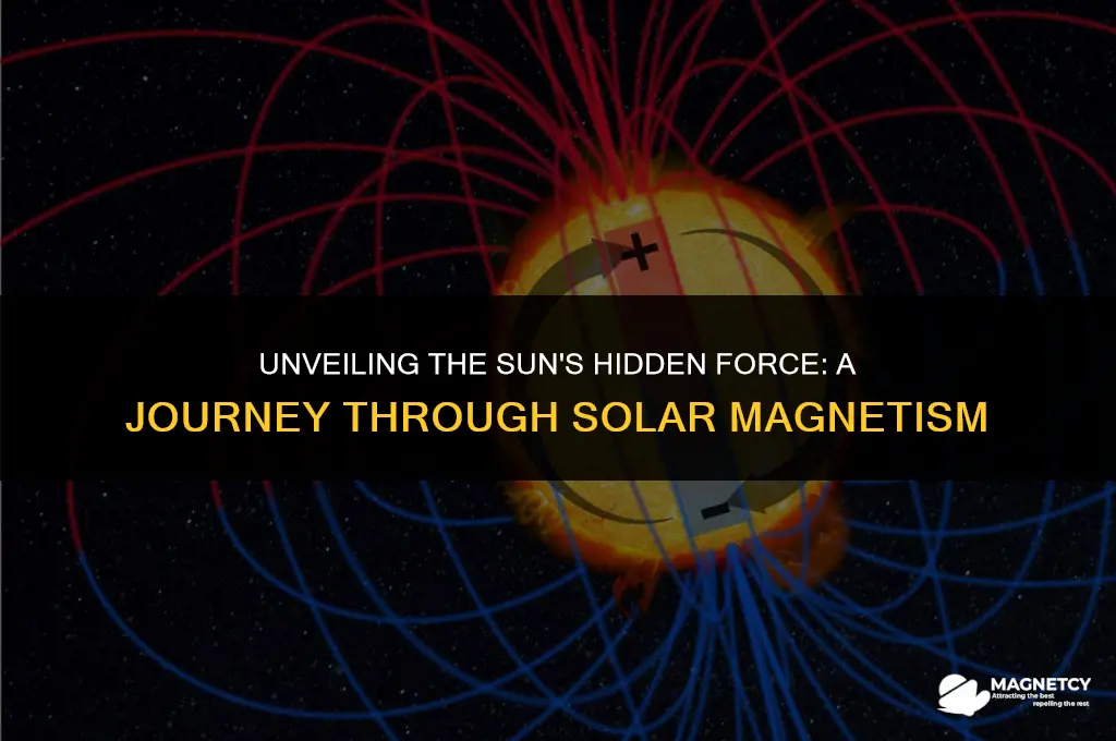 does sun has magnetic field