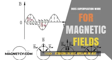 Exploring the Mysteries of Superposition in Magnetic Fields