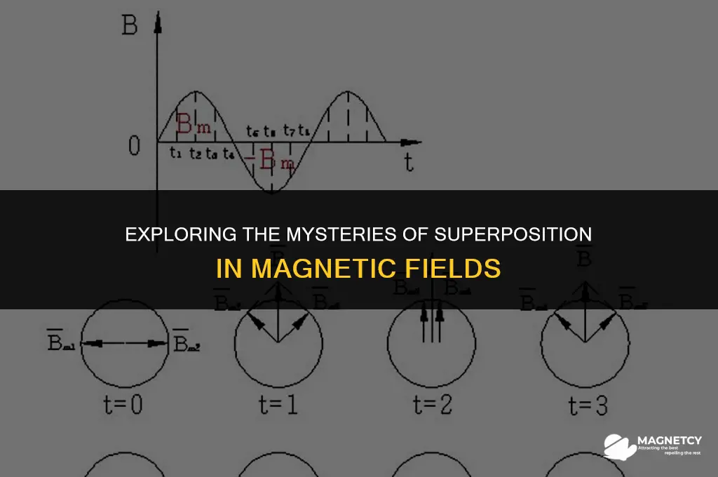 does superposition work for magnetic fields