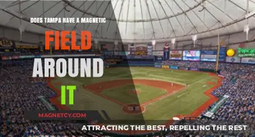 Exploring Tampa's Unique Magnetic Field: Facts and Myths