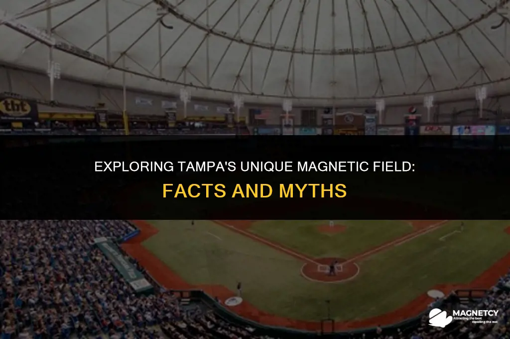 does tampa have a magnetic field around it