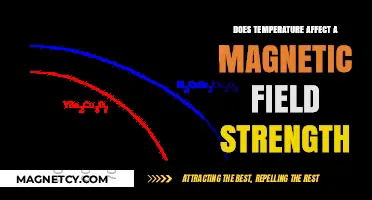 Exploring the Impact of Temperature on Magnetic Field Strength