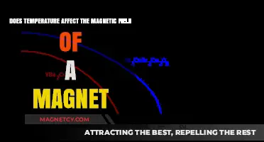 Exploring the Impact of Temperature on Magnetism