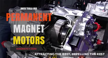 Does Tesla Use Permanent Magnet Motors? Unveiling the Truth