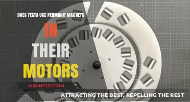 Does Testa Use Permanent Magnets in Their Motors? Explained